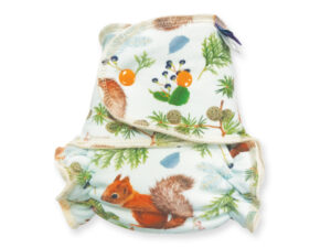 squirrels in the wood