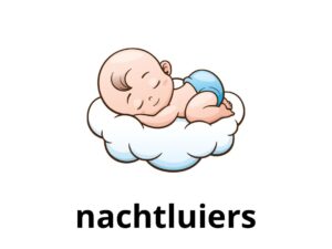Nachtluiers